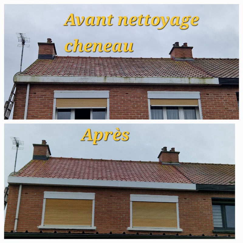 Photo avant après nettoyage du chéneau