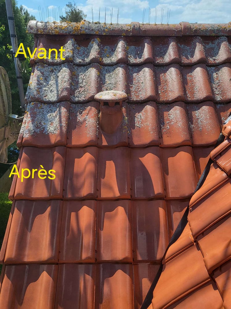 Photo avant après nettoyage toiture tuile